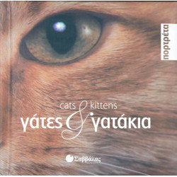 Γάτες κ'γατάκια (πορτρέτα)