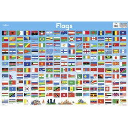 FLAGS (COLLINS CHILDREN’S POSTER)