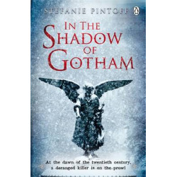 IN THE SHADOW OF GOTHAM PB B FORMAT