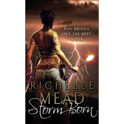 DARK SWAN 1: STORM BORN PB A FORMAT
