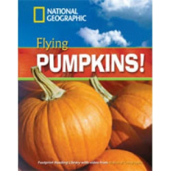 NGR : FLYING PUMPKINS B1 (+ DVD)
