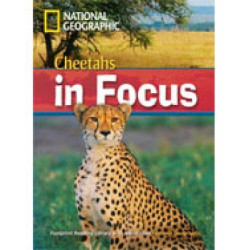 NGR : CHEETAHS IN FOCUS B2 (+ DVD)