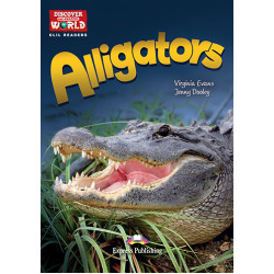 DAW : ALLIGATORS (+ CROSS-PLATFORM APPLICATION)