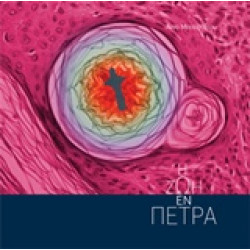Η ΖΩΗ ΕΝ ΠΕΤΡΑ