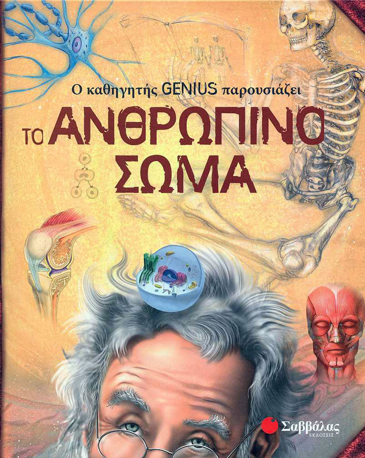 Ανθρώπινο σώμα (Genius καθηγητής) Νο3 π6