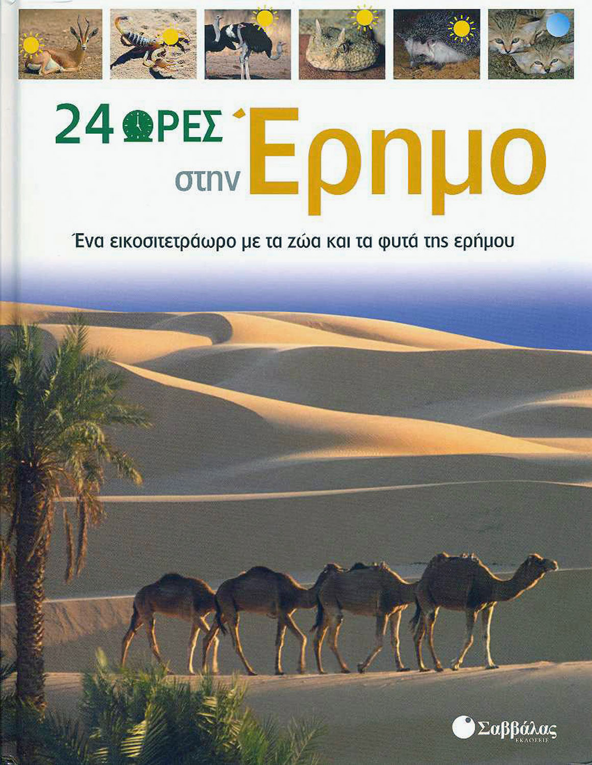 24 ώρες στην έρημο (Νο 1)         π2